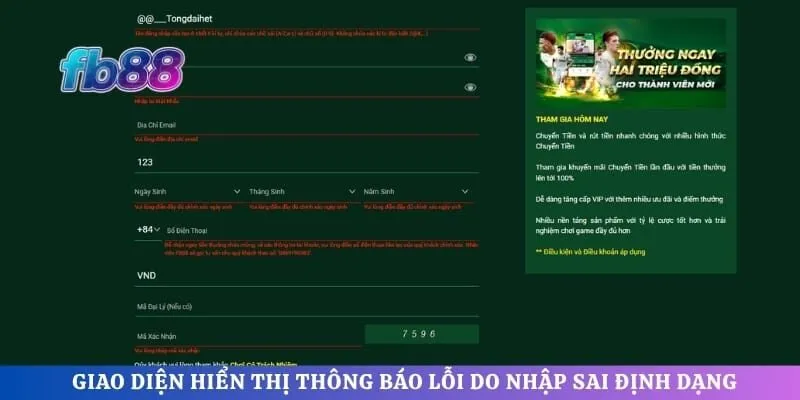Giao diện hiển thị thông báo lỗi do nhập sai định dạng