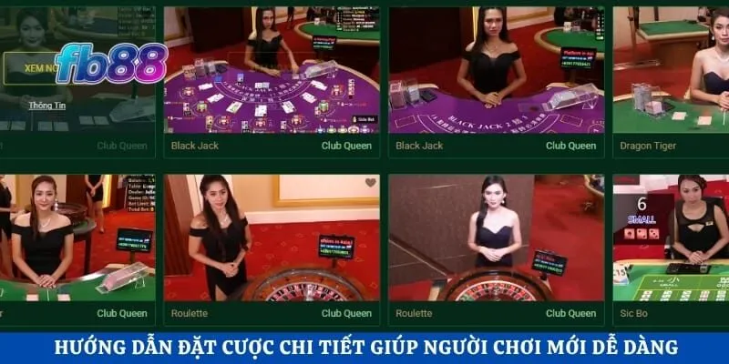 Hướng dẫn đặt cược chi tiết giúp người chơi mới dễ dàng