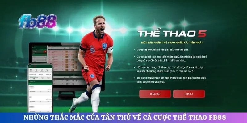 Những thắc mắc của tân thủ về cá cược thể thao FB88